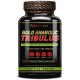 Gold Anabolic Tribulus (90таб)